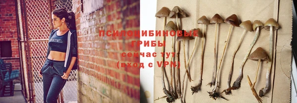 винт Алзамай