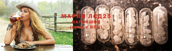 винт Алзамай