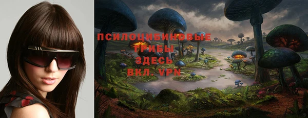 винт Алзамай