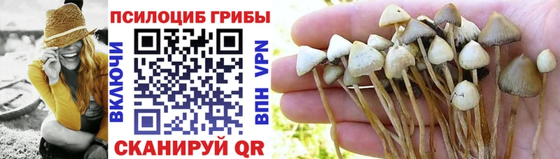 Галлюциногенные грибы прущие грибы  где продают наркотики  Каргат 