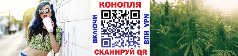 МАРИХУАНА план  дарнет шоп  Каргат 